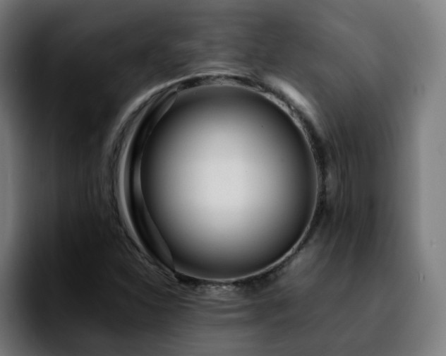 X0000092211310200709210942