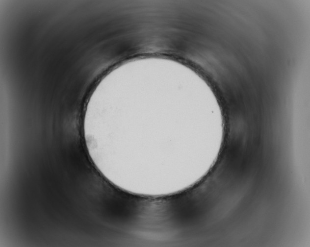 X0000092211314200709210943