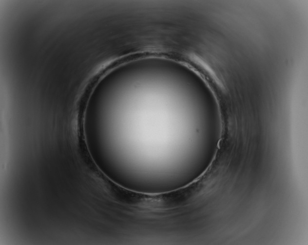 X0000092211315200709210943