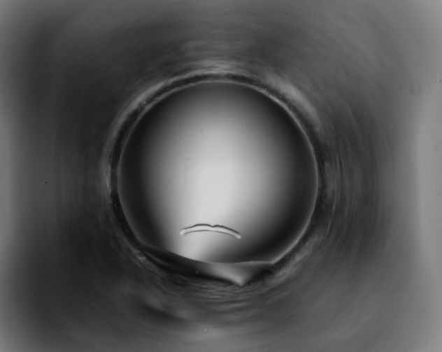 X0000092211318200709210943