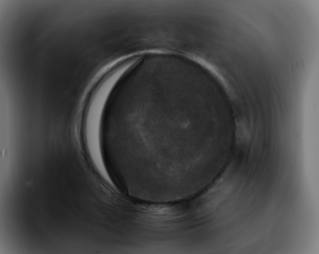 X0000092211319200709210943