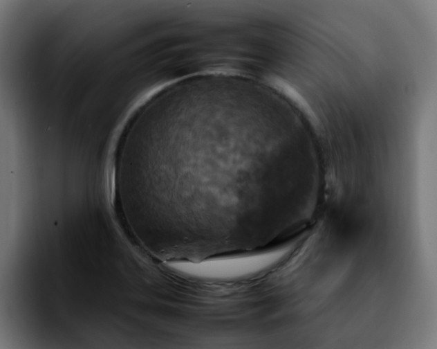 X0000092211323200709210943