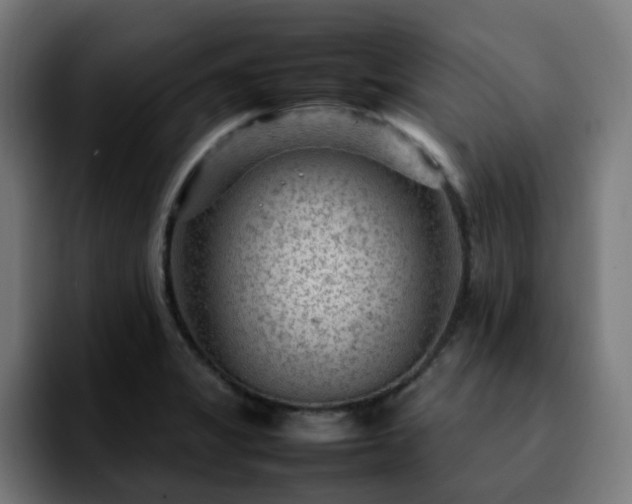 X0000092211325200709210943