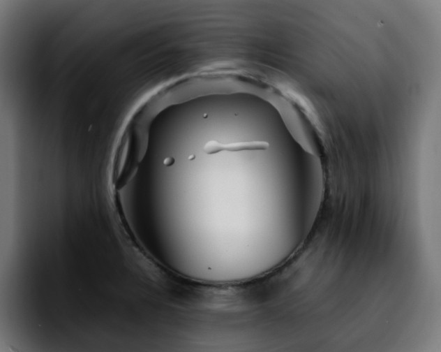 X0000092211328200709210943