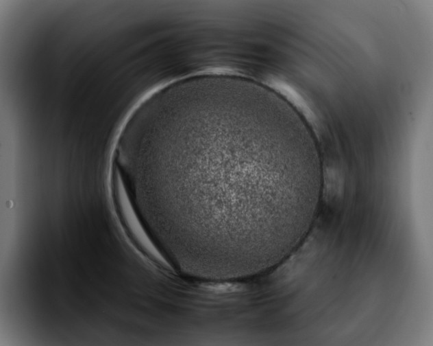 X0000092211331200709210943