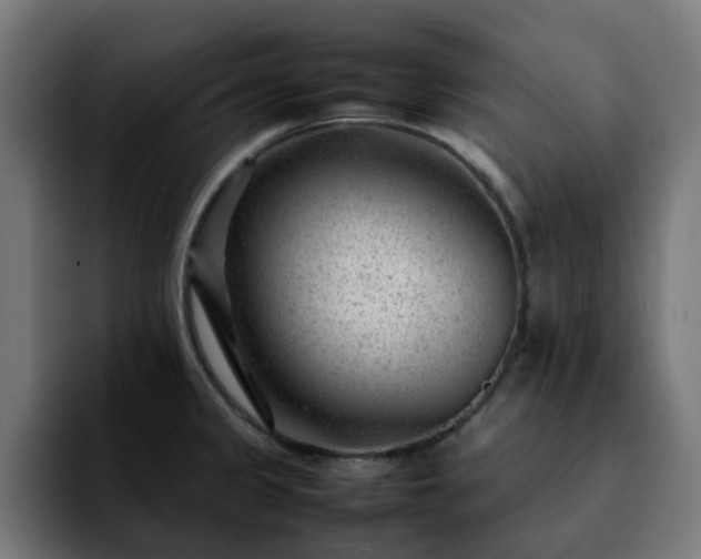 X0000092211333200709210943