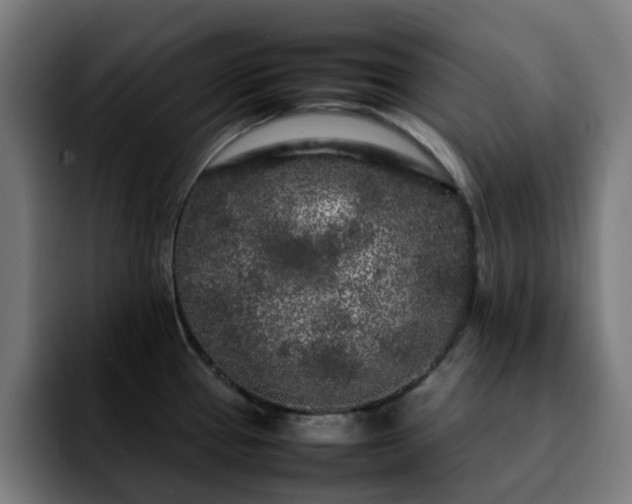 X0000092211337200709210943