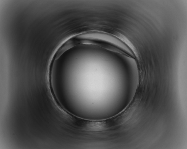 X0000092211339200709210943