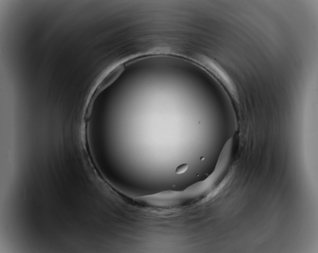 X0000092211340200709210943