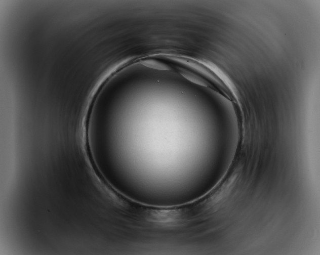 X0000092211341200709210943