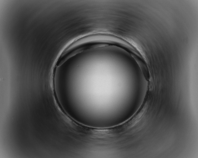 X0000092211342200709210943