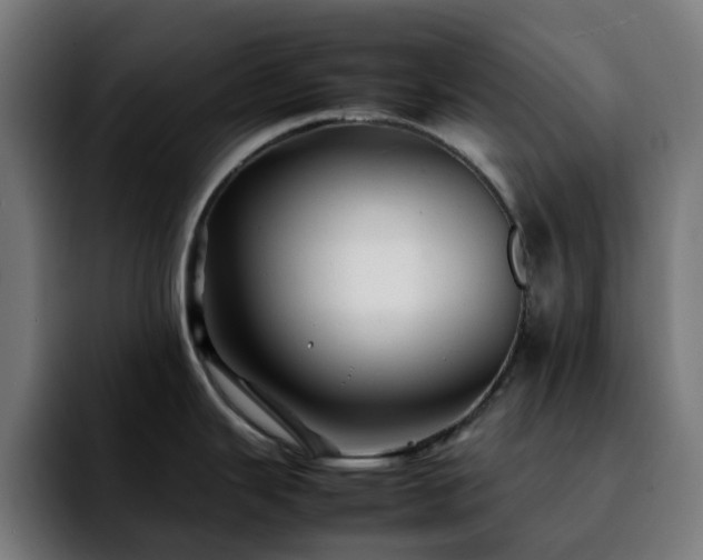 X0000092211343200709210943