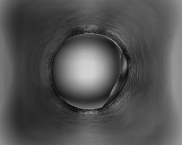 X0000092211345200709210942