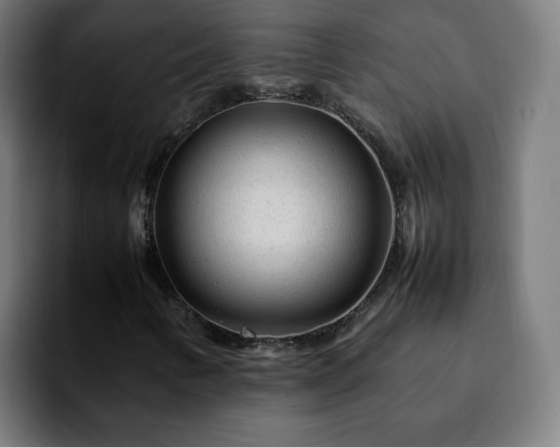 X0000092211346200709210942