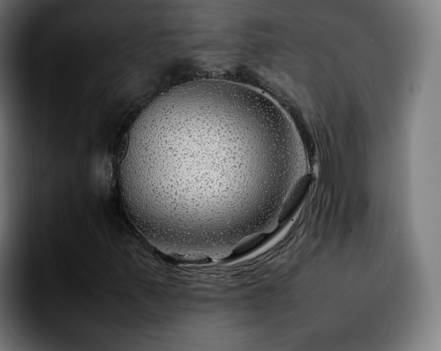 X0000092211347200709210942