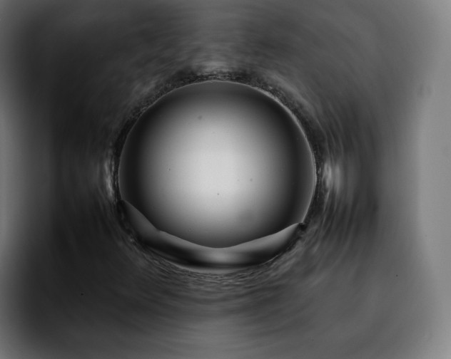 X0000092211348200709210942