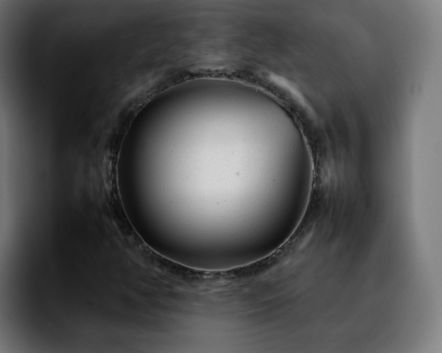 X0000092211350200709210942