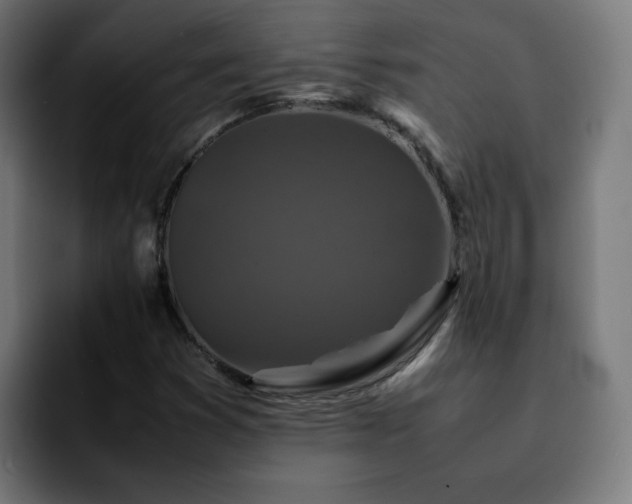 X0000092211353200709210942