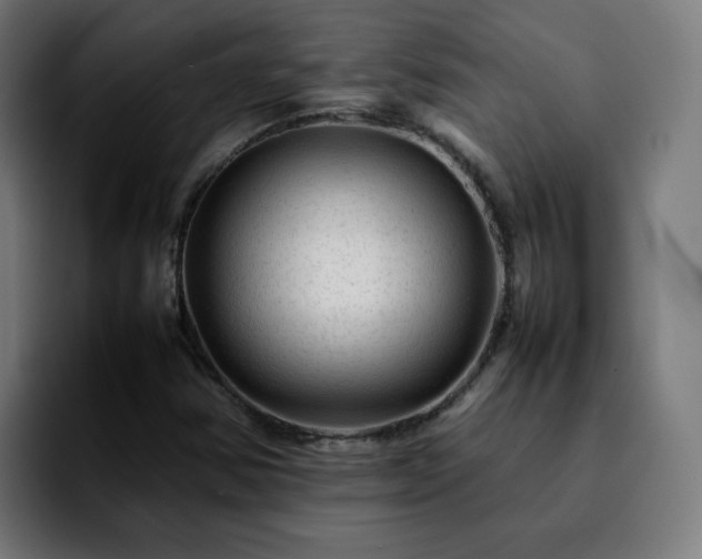 X0000092211354200709210942