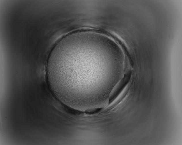 X0000092211355200709210942