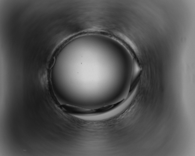 X0000092211356200709210942