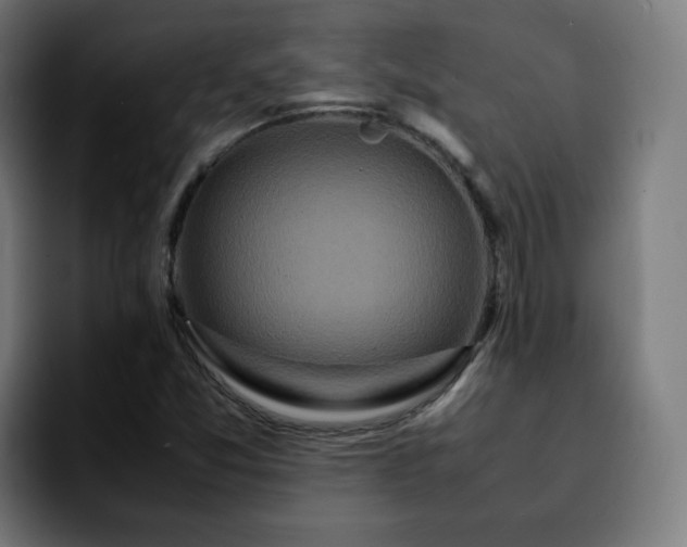 X0000092211357200709210942