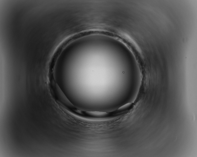 X0000092211360200709210942