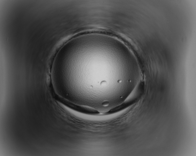 X0000092211363200709210942