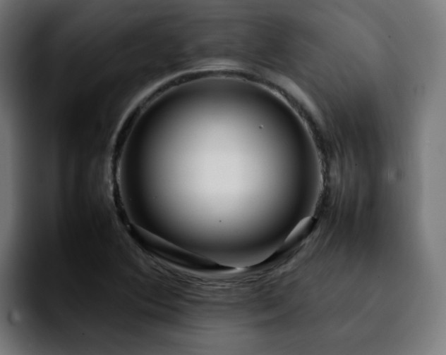 X0000092211364200709210942