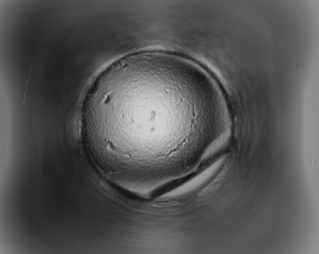 X0000092211367200709210942