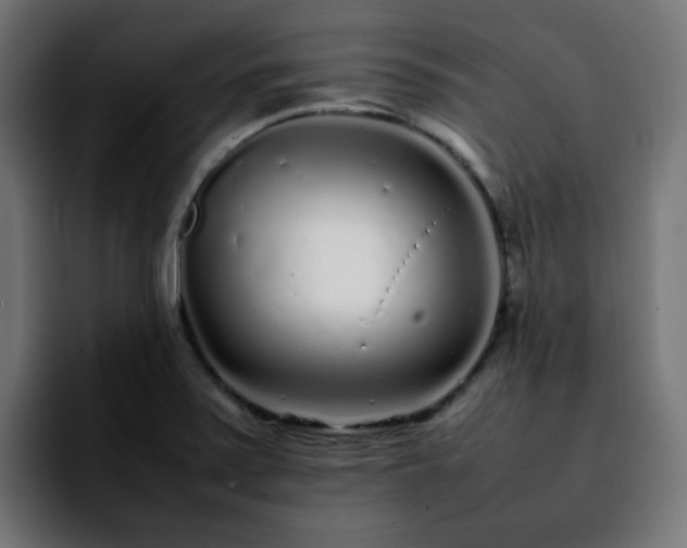 X0000092211371200709210942