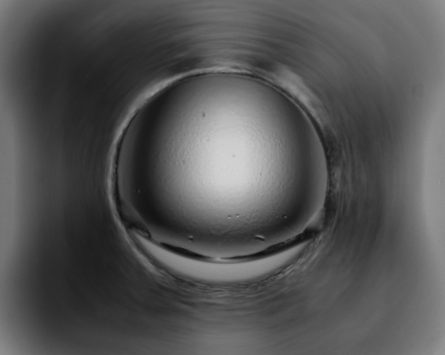 X0000092211379200709210942