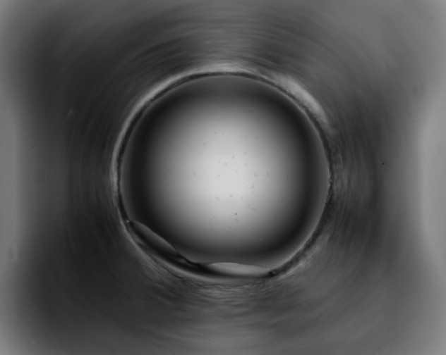 X0000092211380200709210942