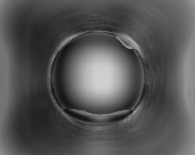 X0000092211381200709210942