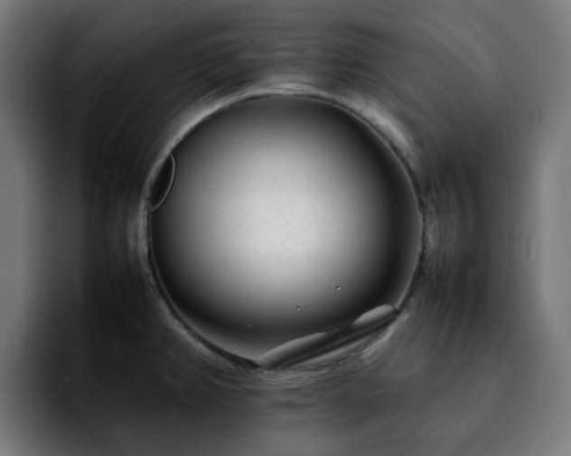 X0000092211382200709210942