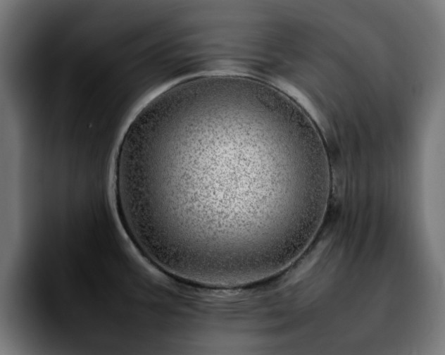 X0000092211387200709210942