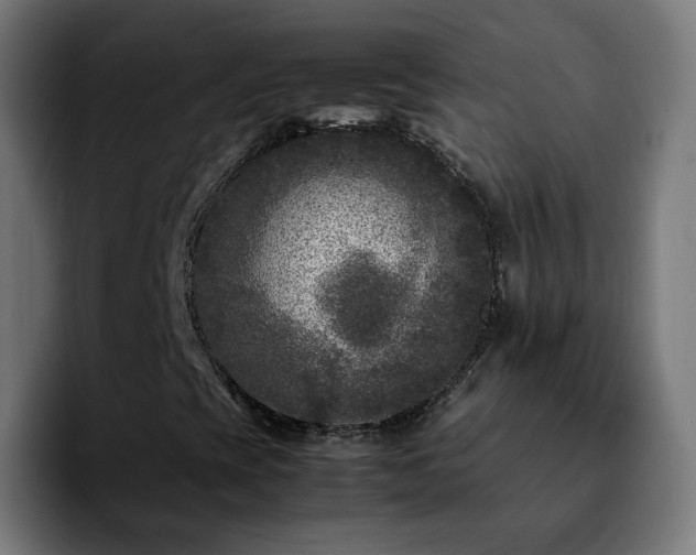 X0000092211393200709210941