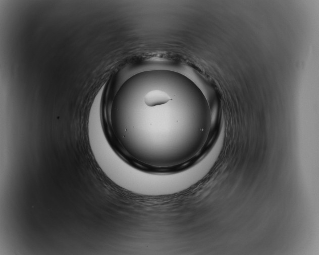 X0000092211394200709210941