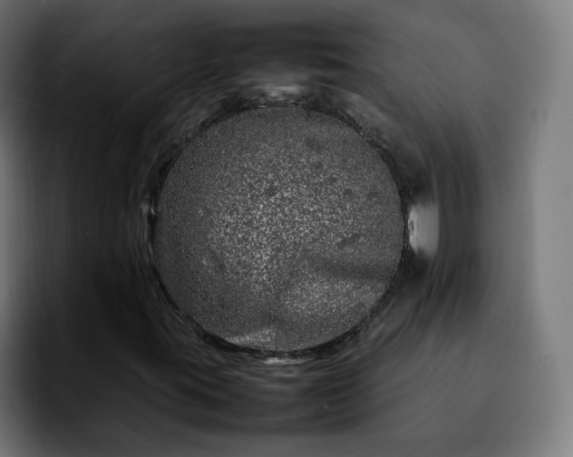 X0000092211395200709210941