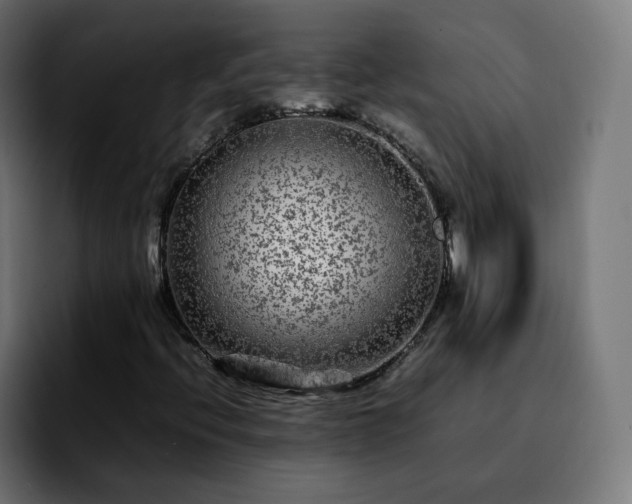 X0000092211396200709210941
