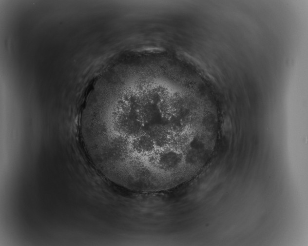 X0000092211397200709210941