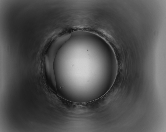 X0000092211398200709210941