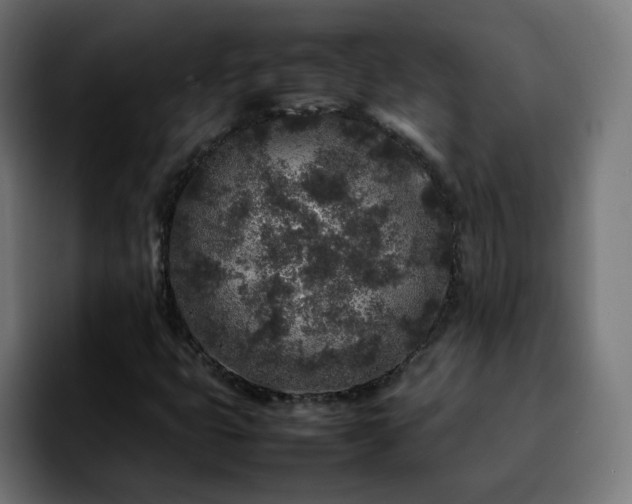 X0000092211399200709210941
