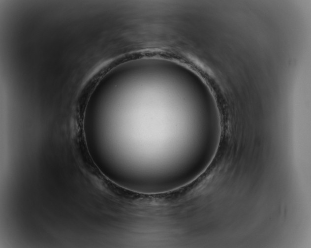 X0000092211400200709210941