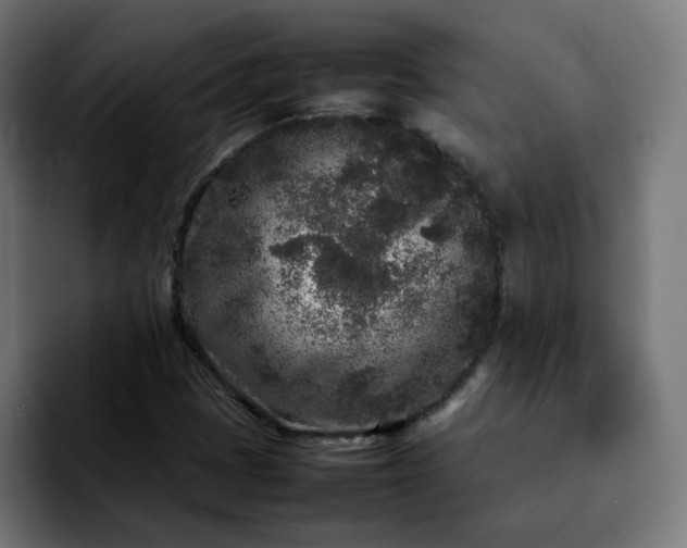 X0000092211401200709210941