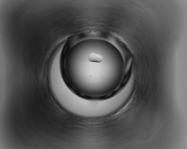 X0000092211402200709210941