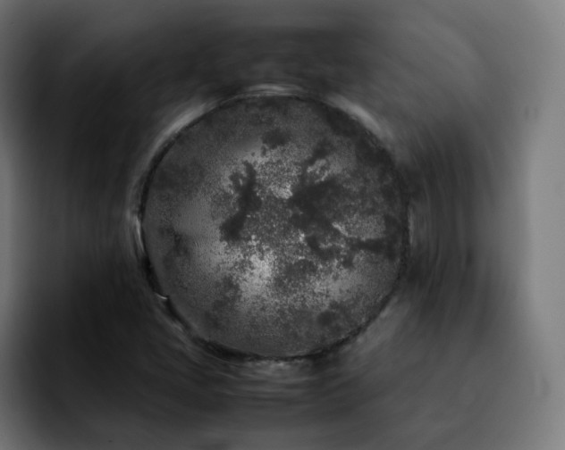 X0000092211405200709210941