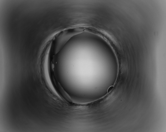 X0000092211406200709210941