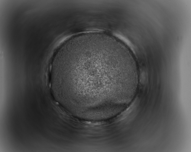 X0000092211407200709210941