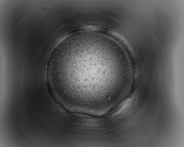 X0000092211409200709210941